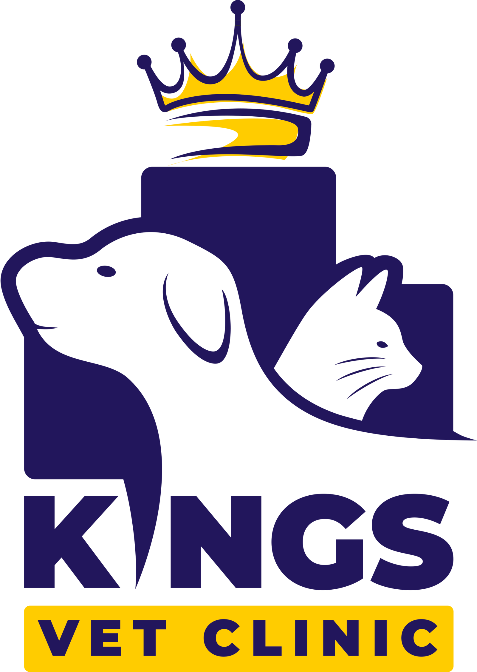 King's Vet Clinic
